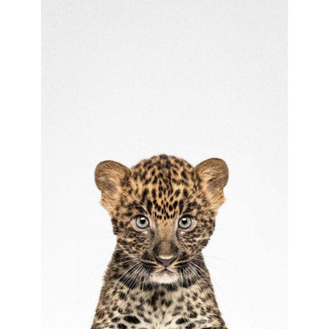 Leopard Black Modern Wood Framed Art Print by Tai Prints