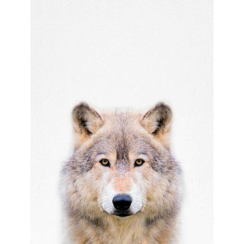 Wolf Gold Ornate Wood Framed Art Print with Double Matting by Tai Prints