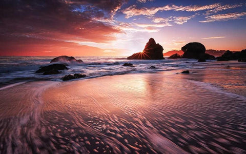 Star Struck Black Ornate Wood Framed Art Print with Double Matting by Toby Harriman Visuals