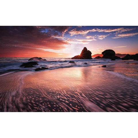 Star Struck Black Modern Wood Framed Art Print by Toby Harriman Visuals