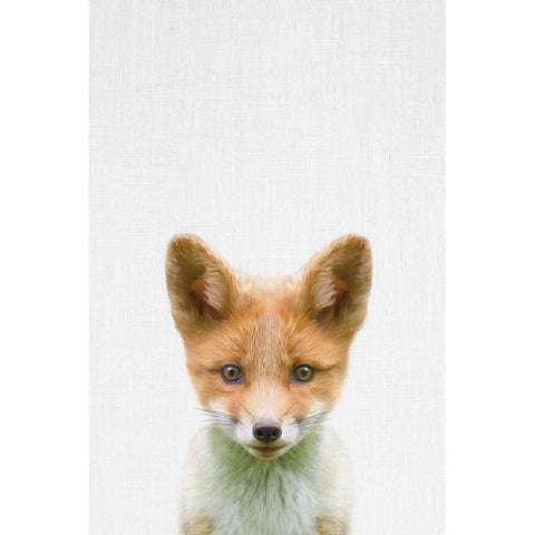 Baby Fox Black Modern Wood Framed Art Print with Double Matting by Tai Prints