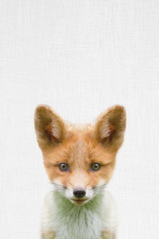 Baby Fox White Modern Wood Framed Art Print with Double Matting by Tai Prints