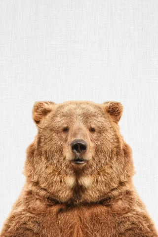 Bear White Modern Wood Framed Art Print with Double Matting by Tai Prints
