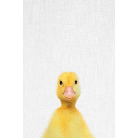 Duck Black Modern Wood Framed Art Print by Tai Prints