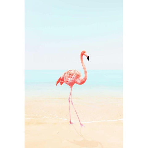 Flamingo on the Beach II Black Modern Wood Framed Art Print with Double Matting by Tai Prints