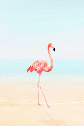 Flamingo on the Beach II White Modern Wood Framed Art Print with Double Matting by Tai Prints