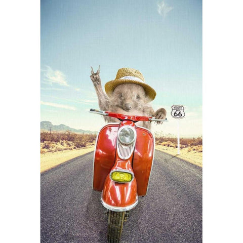 Hedgehog Traveler White Modern Wood Framed Art Print by Tai Prints