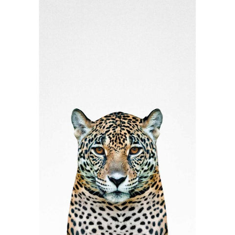 Leopard Black Modern Wood Framed Art Print by Tai Prints