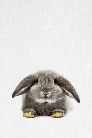 Rabbit Black Ornate Wood Framed Art Print with Double Matting by Tai Prints