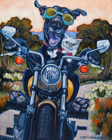 Under an Orange Sky White Modern Wood Framed Art Print with Double Matting by Townsend, Connie R.