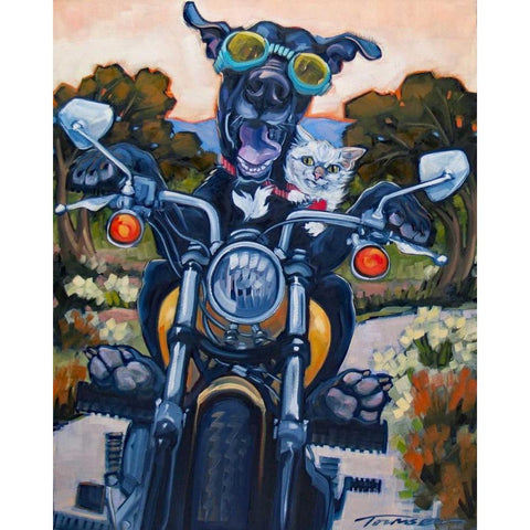 Under an Orange Sky Black Modern Wood Framed Art Print by Townsend, Connie R.