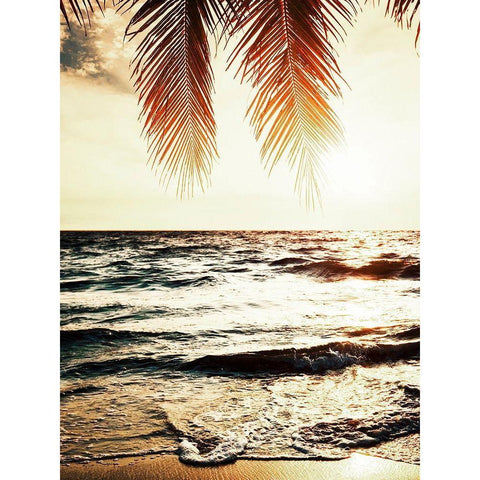 Night Beach Black Modern Wood Framed Art Print with Double Matting by Tai Prints