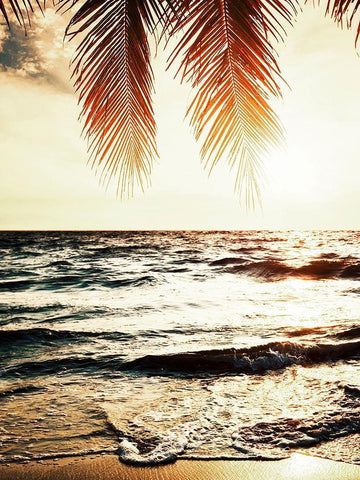 Night Beach White Modern Wood Framed Art Print with Double Matting by Tai Prints