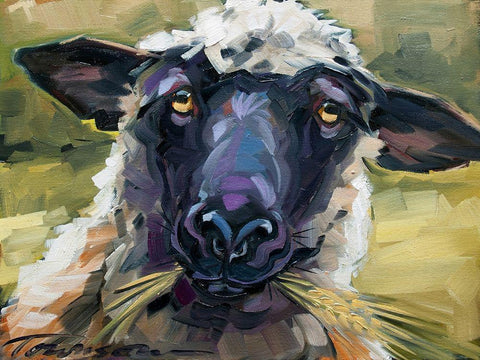 Bless Ewe White Modern Wood Framed Art Print with Double Matting by Townsend, CR