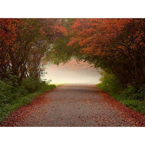 Arc de Triomphe Black Modern Wood Framed Art Print by Van de Goor, Lars