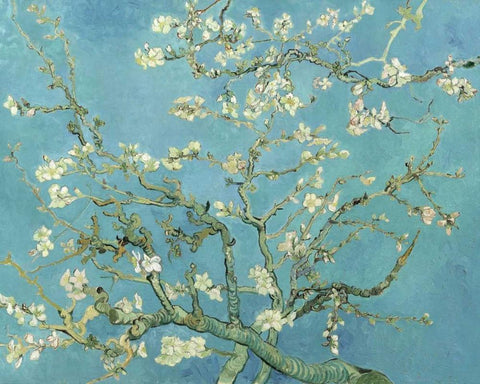 Almond Blossoms 1890 White Modern Wood Framed Art Print with Double Matting by Van Gogh, Vincent