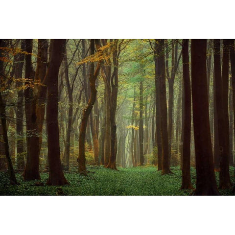 Arriving Nowhere Gold Ornate Wood Framed Art Print with Double Matting by Van de Goor, Lars