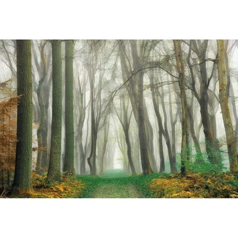 Magic Is Everywhere Black Modern Wood Framed Art Print by Van de Goor, Lars