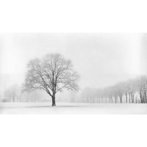 Standing Alone White Modern Wood Framed Art Print by Van de Goor, Lars