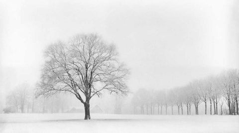 Standing Alone White Modern Wood Framed Art Print with Double Matting by Van de Goor, Lars