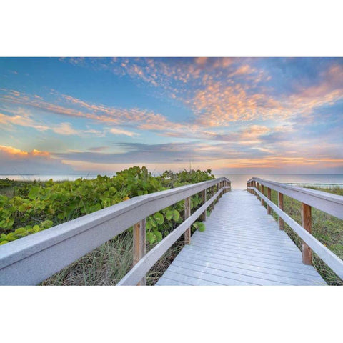 The Walk To Sunset Beach White Modern Wood Framed Art Print by Vernon, Andrew