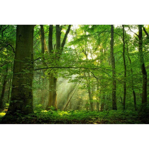 Breathe Black Modern Wood Framed Art Print with Double Matting by Van de Goor, Lars
