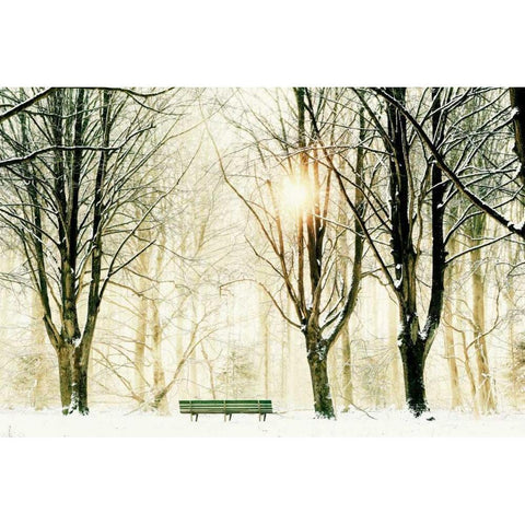 Too Cold To Sit Gold Ornate Wood Framed Art Print with Double Matting by Van de Goor, Lars