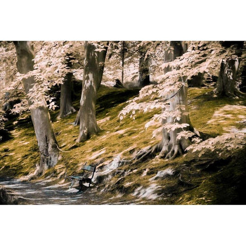 A Fine Place to Rest Black Modern Wood Framed Art Print with Double Matting by Van de Goor, Lars