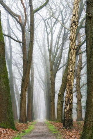 At the End You Will Find a New Beginning White Modern Wood Framed Art Print with Double Matting by Van de Goor, Lars
