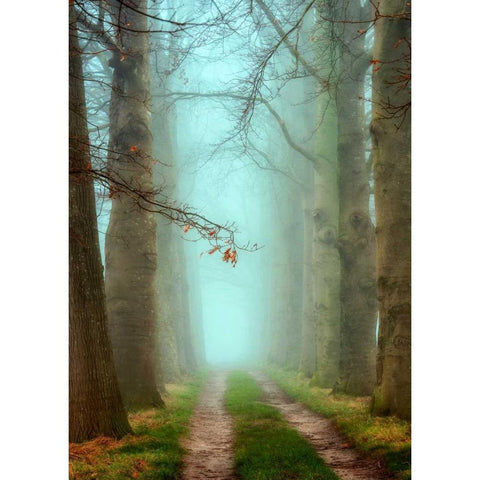 Blue Mist White Modern Wood Framed Art Print by Van de Goor, Lars