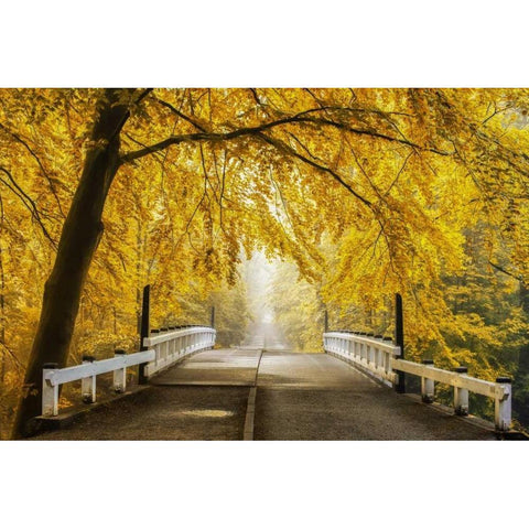 Bridge to Fall III White Modern Wood Framed Art Print by Van de Goor, Lars