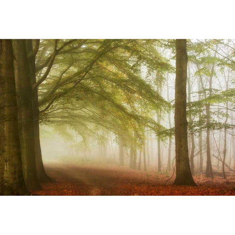 Dreamwalkers Black Modern Wood Framed Art Print with Double Matting by Van de Goor, Lars