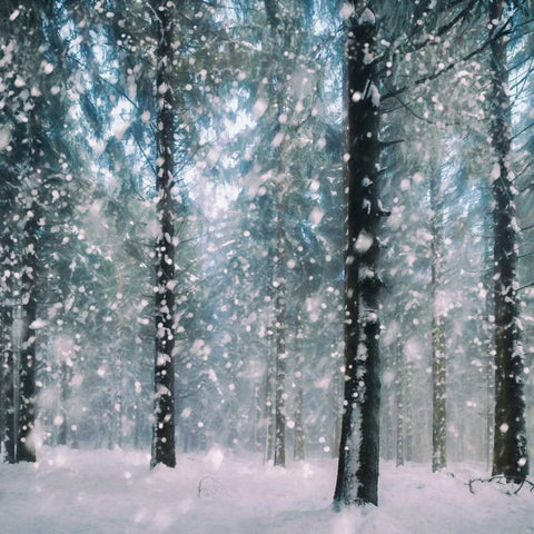 Flakes White Modern Wood Framed Art Print by Van de Goor, Lars