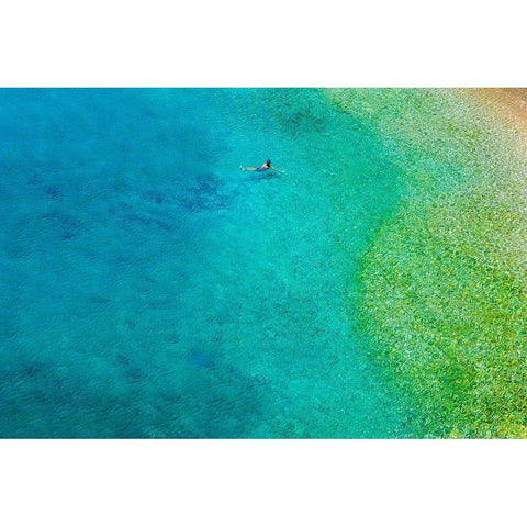 Solo Swim Black Modern Wood Framed Art Print by Varona, Verne