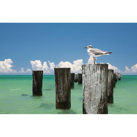 Welcome to Naples, Florida Gold Ornate Wood Framed Art Print with Double Matting by Varona, Verne