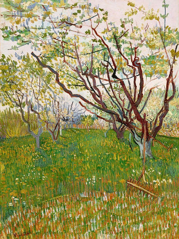 Van Gogh, VincentThe Flowering Orchard White Modern Wood Framed Art Print with Double Matting by Van Gogh, Vincent