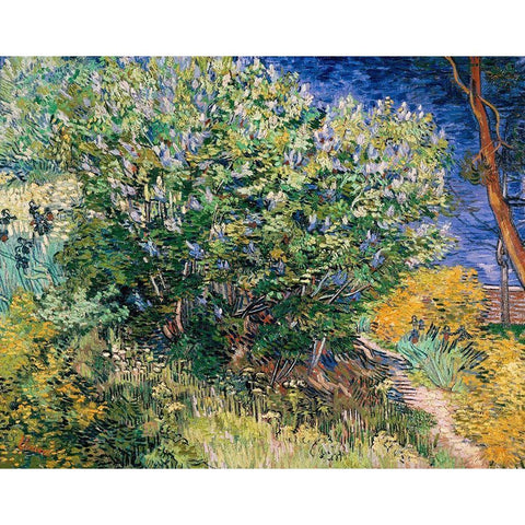 Lilac Bush Black Modern Wood Framed Art Print with Double Matting by Van Gogh, Vincent