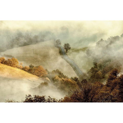Awakening Fields Gold Ornate Wood Framed Art Print with Double Matting by Van de Goor, Lars
