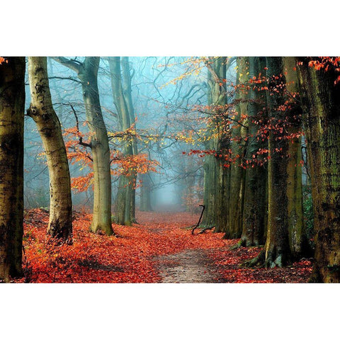 Bussum in Fall Black Modern Wood Framed Art Print with Double Matting by Van de Goor, Lars
