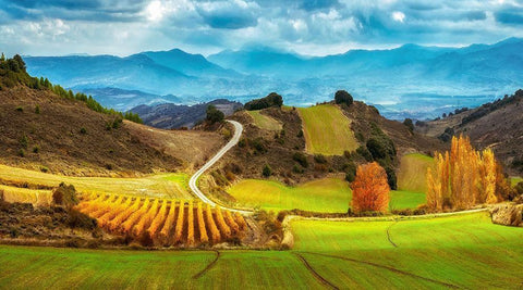 Navarra White Modern Wood Framed Art Print with Double Matting by Van de Goor, Lars