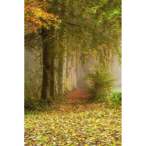 Poetree Black Modern Wood Framed Art Print by Van de Goor, Lars