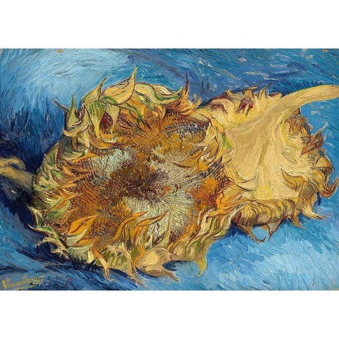 Sunflowers, 1887 Black Modern Wood Framed Art Print with Double Matting by Van Gogh, Vincent