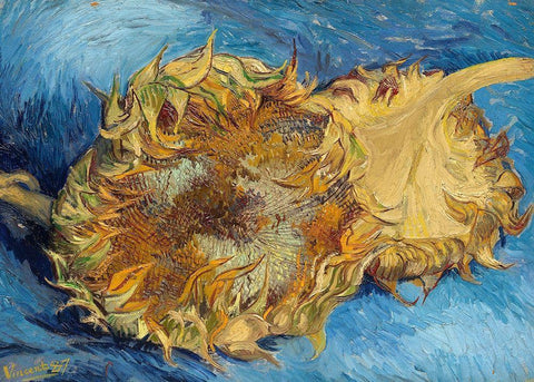 Sunflowers, 1887 White Modern Wood Framed Art Print with Double Matting by Van Gogh, Vincent