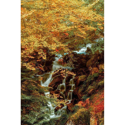 Hidden Waterfall White Modern Wood Framed Art Print by Van de Goor, Lars