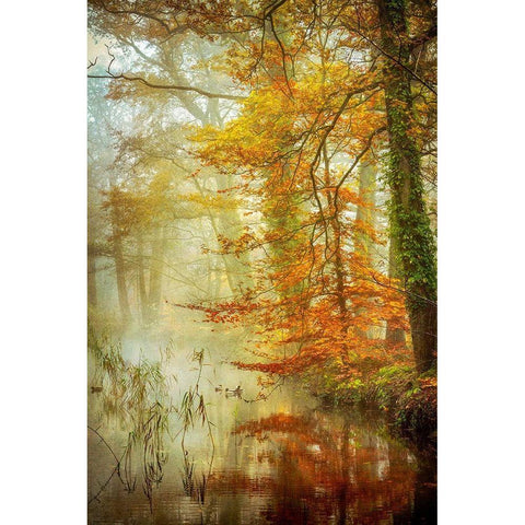 In Romance White Modern Wood Framed Art Print by Van de Goor, Lars