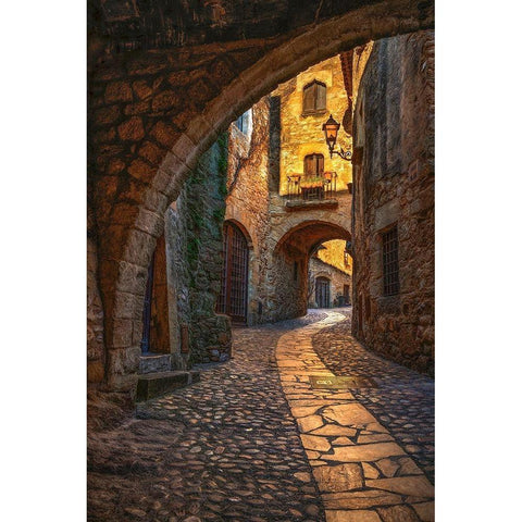 Pals Black Modern Wood Framed Art Print by Van de Goor, Lars