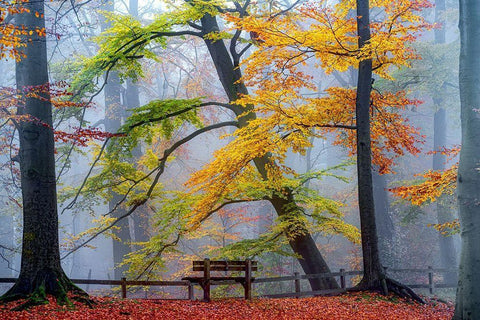 Take A Seat And Enjoy White Modern Wood Framed Art Print with Double Matting by Van de Goor, Lars