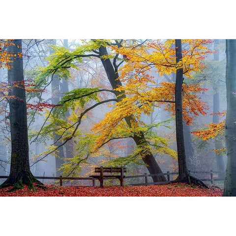 Take A Seat And Enjoy Black Modern Wood Framed Art Print by Van de Goor, Lars