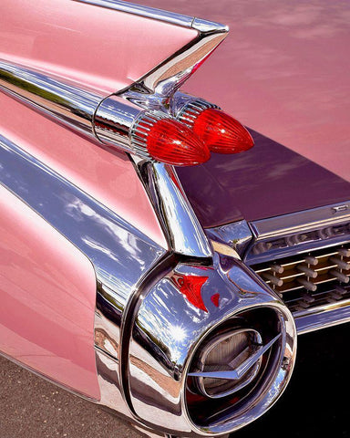 El Dorado Black Ornate Wood Framed Art Print with Double Matting by Vargas, Carlos