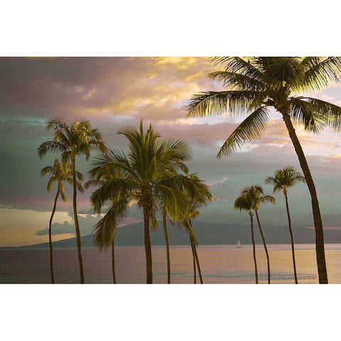 Hawaii Palm Sunset No. 1 White Modern Wood Framed Art Print by Vargas, Carlos
